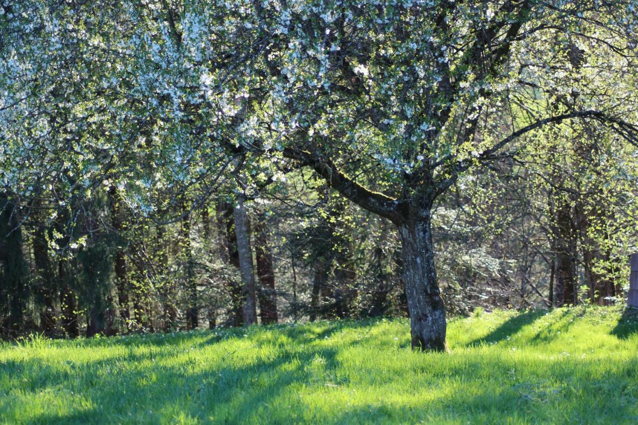 Naturparadies Silvia Alberschwende Εξωτερικό φωτογραφία